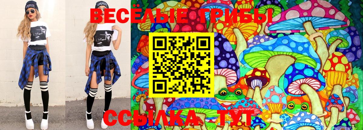 Галлюциногенные грибы Psilocybe Тимашёвск