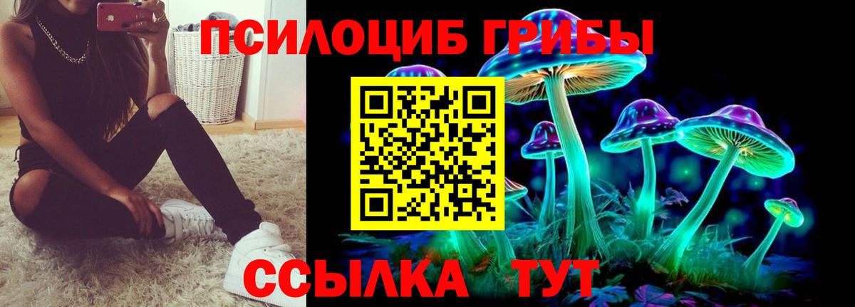 Галлюциногенные грибы Cubensis  Вход с VPN  Тимашёвск 